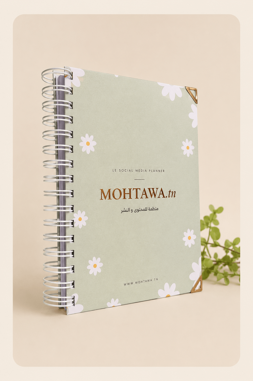 MOHTAWA.tn — النسخة الكريمية